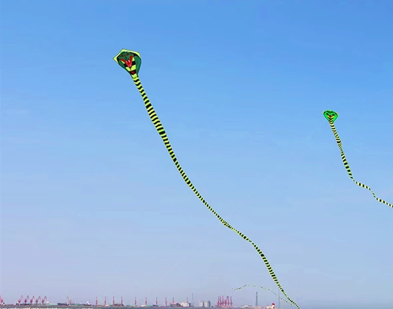 Papagaio Gigante em Forma de Cobra (Até 15m) - Image 11